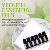 Pure Essential Oils | Aromatherapy Set of 6: Peppermint Oil, Australian Tea Tree Oil, Eucalyptus Oil, Lavender Oil, Sweet Orange Oil, Lemongrass Oil